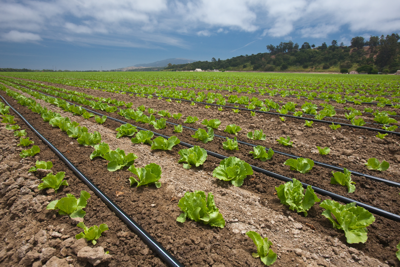 Irrigation Scheme Design & Installation